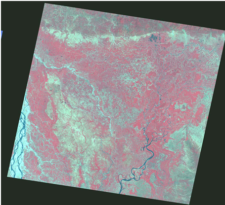 Fig: Landsat thematic image of Northwestern Bangladesh in 1999