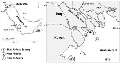Study area in the Iraqi marine water, northwest Arabian Gulf
