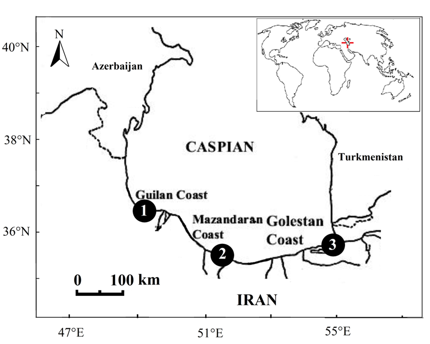 Fig: The map of southern Caspian Sea showing the location of fishing regions (1- Guilan, 2- Mazandaran and 3- Golestan) for Liza aurata (Risso, 1810), along the southern Caspian Sea