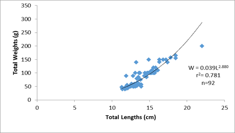 The monthly total lengths (cm) and total weights (g) relationship of males Mormyrus rume in the Reservoir at Bontanga.