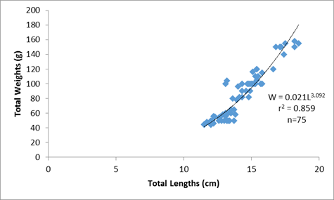 The monthly total lengths (cm) and total weights (g) relationship of females Mormyrus rume in the Reservoir at Bontanga
