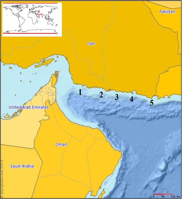 Study area; numbers represent the transects in the Iranian continental shelf of the Oman Sea