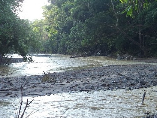 Kana River at Sajik-Tampak near Molnaum village, Chandel district of Manipur for the type-locality and natural habitat of <em>Opsarius sajikensis </em>sp. nov.